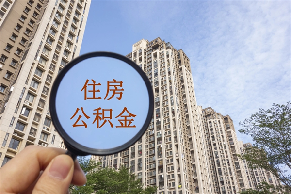 新野上海公积金提取咨询（新野全国公积金提取线上提取）